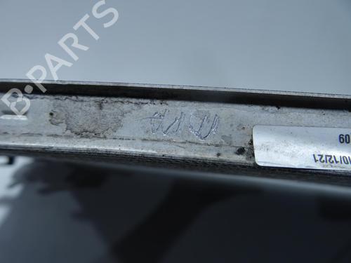 Used Water radiator Water radiator RENAULT KANGOO Express (FW0/1_) 1.5 dCi 95 (FW16) (95 hp) 33314681 33314681