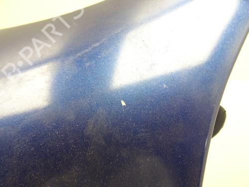 Left front fenders RENAULT MEGANE I Coach (DA0/1_) 1.9 dCi (DA05, DA1F) | BP29360188C41 