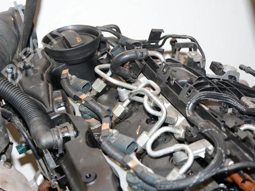 Engine VW GOLF VI (5K1) 2.0 TDI | BP33019326M1  - Image 12