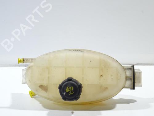 Ekspansjonstank Ekspansjonstank RENAULT TRAFIC II Van (FL) 2.0 dCi 115 (FL01, FL0U, FL00, FL0H, FL0M) (114 hp) 20300500 20300500