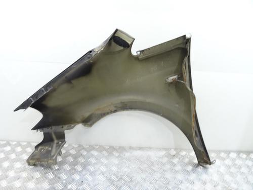 Right front fenders LANCIA MUSA (350_) 1.3 D Multijet (350.AXM11, 350.AXM1A, 350.AXI1A) | BP27617332C42 