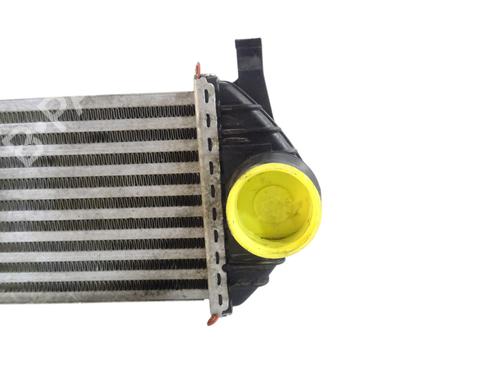 Intercooler RENAULT KANGOO Express (FW0/1_) | BP35888295M30 - Image 5