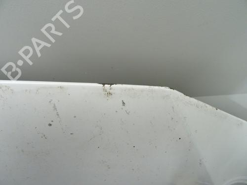 Hood VW TIGUAN (5N_) 2.0 TDI | BP29908763C1 