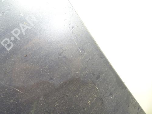 Left front fenders CITROËN C4 Picasso I MPV (UD_) 1.6 HDi 110 | BP28386035C41 