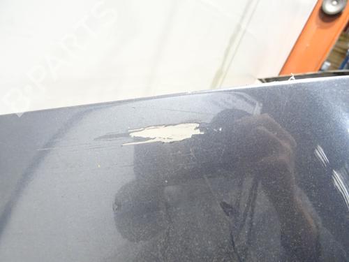 Front bumper SKODA OCTAVIA II Combi (1Z5) 2.0 TDI 4x4 | BP29185064C7 