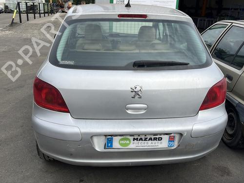 Front slam panel PEUGEOT 307 (3A/C) 2.0 16V | BP29537373C72 
