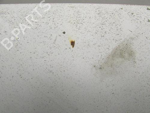 Hood RENAULT RAPID Box Body/MPV (F40_, G40_) 1.4 (F40U, F40V) | BP20177603C1 