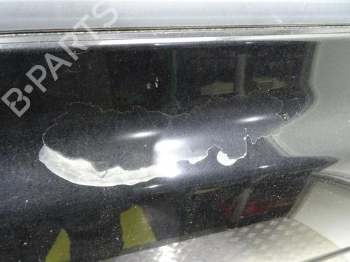 Left front door NISSAN MICRA III (K12) 1.5 dCi | BP24665712C2