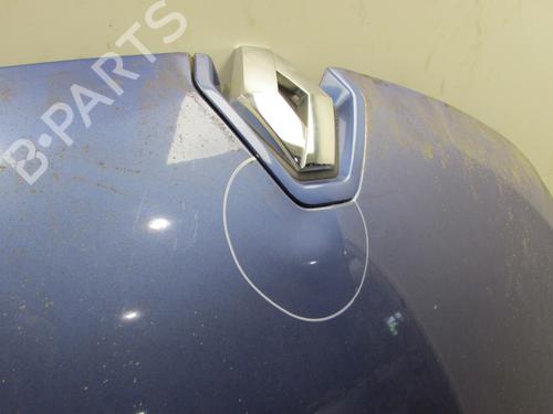 Hood RENAULT MEGANE III Hatchback (BZ0/1_, B3_) 1.5 dCi (BZ09, BZ0D, BZ1W, BZ29, BZ14) | BP26006244C1 