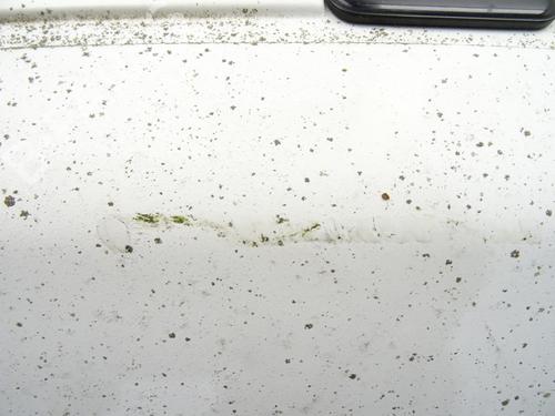 Hood PEUGEOT 106 I (1A, 1C) 1.0 | BP29861357C1 