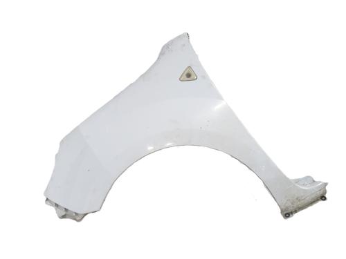 Used Left front fenders RENAULT KANGOO / GRAND KANGOO II (KW0/1_) 1.5 dCi 90 (KW05, KW08, KW0G, KW11) (90 hp) 31329645