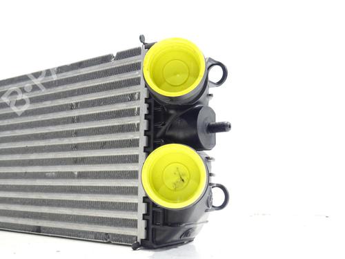 Intercooler DS DS 3 / DS 3 CROSSBACK (UR_, UC_, UJ_) 1.5 BlueHDi 130 (UCYHZR) | BP38976333M30 - Image 5