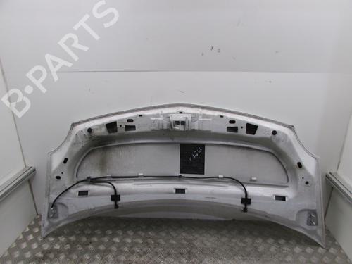 hood-renault-kangoo-express-fw01_-2008-24313536 main image