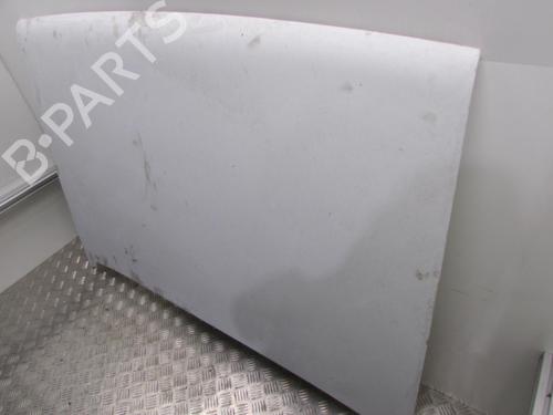 Hood RENAULT RAPID Box Body/MPV (F40_, G40_) 1.4 (F40U, F40V) | BP20177603C1 