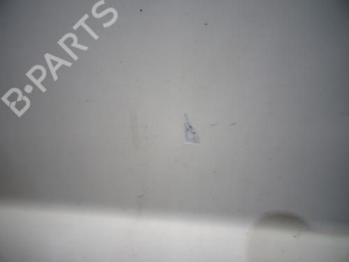 Left front door RENAULT KANGOO (KC0/1_) D 65 1.9 (KC0E, KC02, KC0J, KC0N) | BP31641659C2 