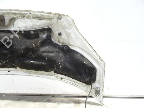 Used Hood Hood FORD TRANSIT Van (FA_ _) 2.2 TDCi (110 hp) 29154344 29154344