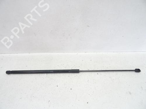 Hood lift support VOLVO C30 (533) D2 | BP21972190C139 