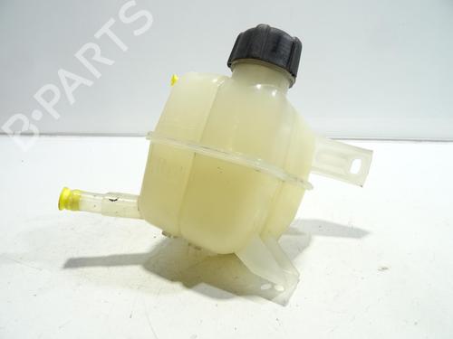 Used Expansion tank RENAULT KOLEOS I (HY_) 2.0 dCi 4x4 (HY0K) (150 hp) 22643361