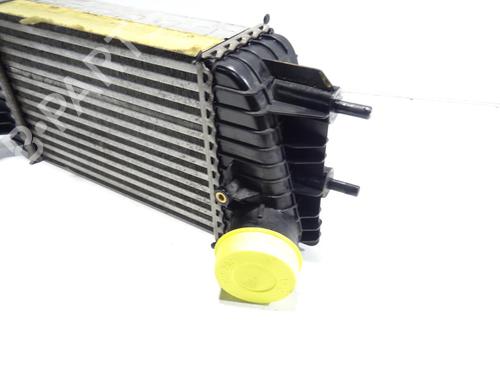 Used Intercooler Intercooler NISSAN JUKE (F15) [2010-2019] 30592476 30592476