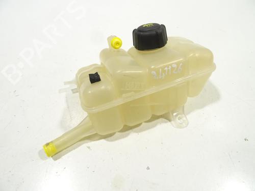 Ekspansjonstank Ekspansjonstank RENAULT MEGANE IV Hatchback (B9A/M/N_) 1.6 TCe 205 (B9MV) (205 hp) 25892179 25892179