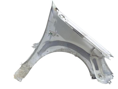 Guarda-lamas esquerdo Guarda-lamas esquerdo DACIA SANDERO 1.5 dCi (68 hp) 36091548 36091548