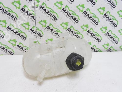 Used Expansion tank RENAULT KANGOO Express (FW0/1_) 1.2 TCe 115 (FW02, FW14) (115 hp) 22918089