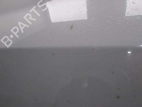 Left front door RENAULT CLIO III (BR0/1, CR0/1) 1.5 dCi (BR17, CR17) | BP20177658C2
