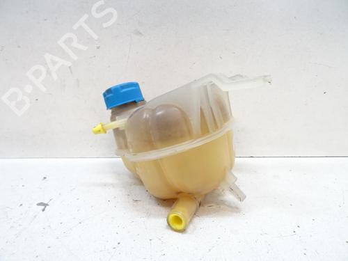 Used Expansion tank FIAT PUNTO EVO (199_) 1.3 D Multijet (199AXC1A, 199BXC1A, 199AXT1A, 199BXT1A) (75 hp) 20065387