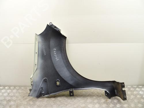 Left front fenders RENAULT TWINGO II (CN0_) 1.2 16V (CN04, CN0B) | BP28813647C41 