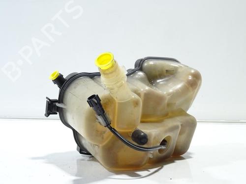 Expansion tank LAND ROVER RANGE ROVER EVOQUE (L538) 2.0 4x4 | BP24656083C120 