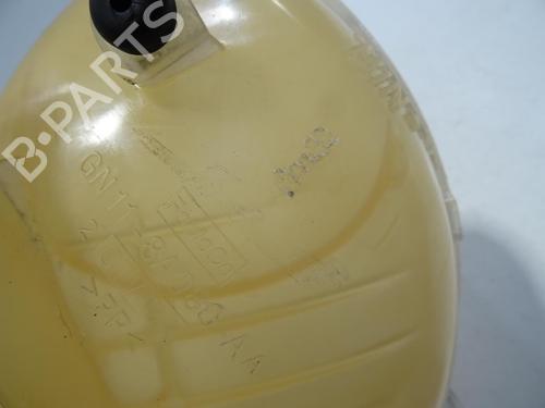 Expansion tank FORD FIESTA VII (HJ, HF) 1.0 EcoBoost | BP29756903C120