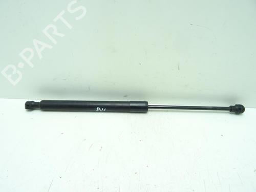 hood-lift-support-renault-clio-iv-bh_-2012-2013-2014-2015-2016-2017-2018-2019-2020-2021-32507153 main image