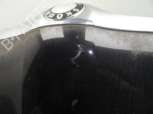 Hood SKODA ROOMSTER (5J7) 1.9 TDI | BP28084482C1