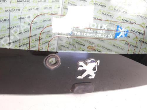Bootlid window PEUGEOT 107 (PM_, PN_) 1.0 | BP21968900C64