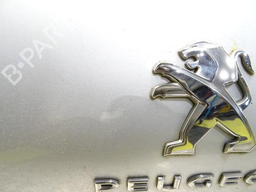 Tailgate PEUGEOT 308 II (LB_, LP_, LW_, LH_, L3_) 1.6 HDi / BlueHDi 115 | BP27704671C6 