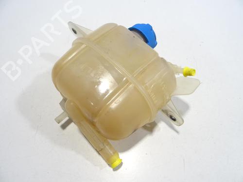 Used Expansion tank CITROËN NEMO Box Body/MPV (AA_) 1.3 HDi 75 (75 hp) 28951929