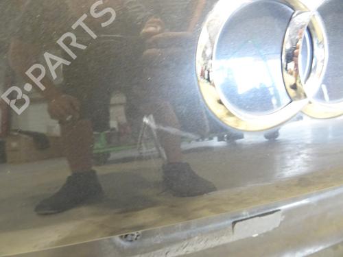Used Tailgate Tailgate 36901030 36901030
