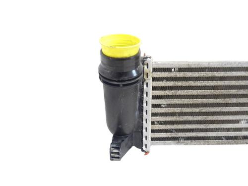 Intercooler RENAULT KANGOO Express (FW0/1_) | BP35888295M30 - Image 7