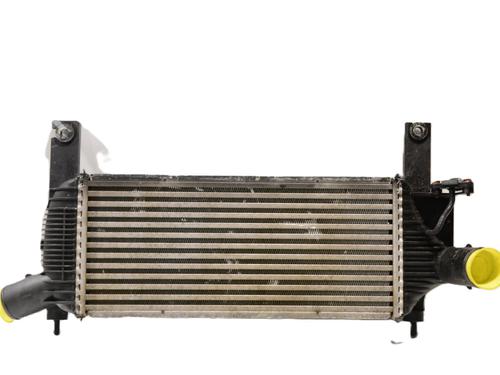 Intercooler NISSAN NAVARA NP300 (D40) 2.5 dCi 4WD (171 hp) 31669756