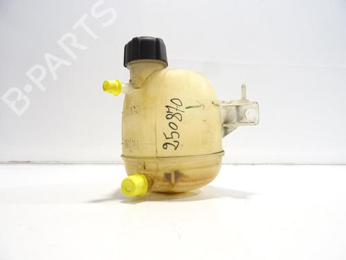 Ekspansjonstank DACIA SANDERO 1.4 (BS0C, BS0A, BS0G, BS1F, BS0E) (75 hp) 28964479