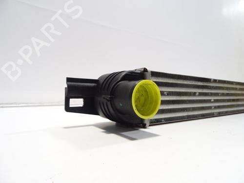 Intercooler CITROËN NEMO MPV 1.4 HDi | BP27358469M30 - Image 5