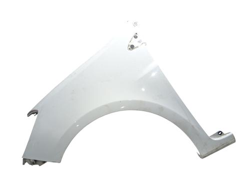 left-front-fenders-renault-clio-iii-br01-cr01-2005-2006-2007-2008-2009-2010-2011-2012-2013-2014-37726102 main image