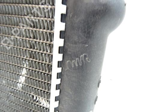 Used Water radiator Water radiator PEUGEOT 205 II (20A/C) [1987-2000] 20067202 20067202