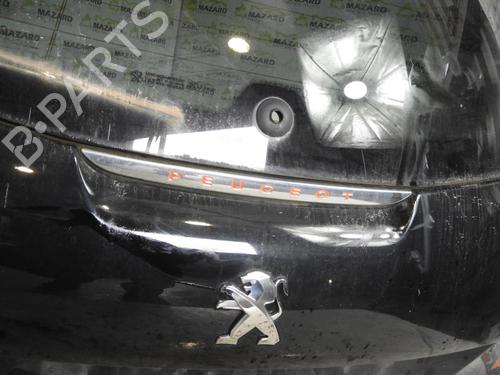 Tailgate PEUGEOT 208 I (CA_, CC_) 1.6 BlueHDi 100 | BP21971423C6 
