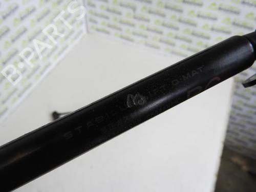 Tailgate lift support TOYOTA YARIS (_P13_)  | BP20058108C138 