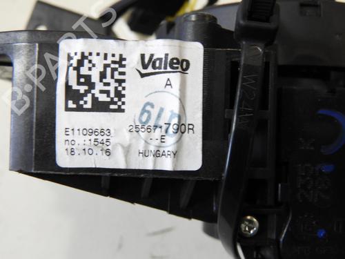 Squib airbag RENAULT TWINGO III (BCM_, BCA_)  | BP20040148C102 