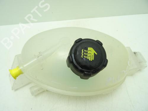 Expansion tank NISSAN NV400 Van (X62, X62B)  | BP29425037C120 