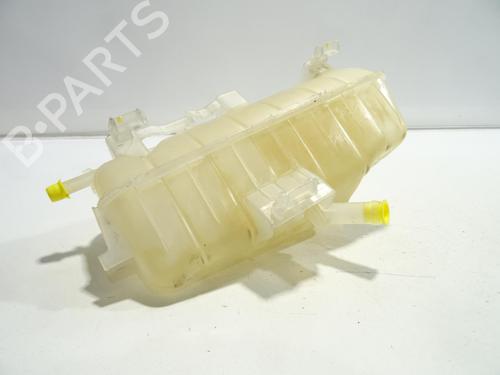 Expansion tank RENAULT KANGOO Express (FW0/1_) 1.5 dCi 75 (FW07, FW10, FW04) | BP24940373C120 