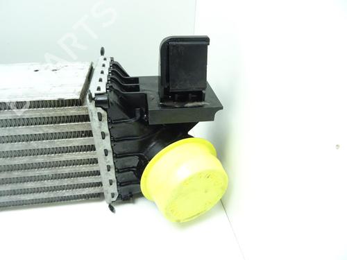 Intercooler CITROËN JUMPER II Van 2.2 BlueHDi 165 | BP29340894M30 