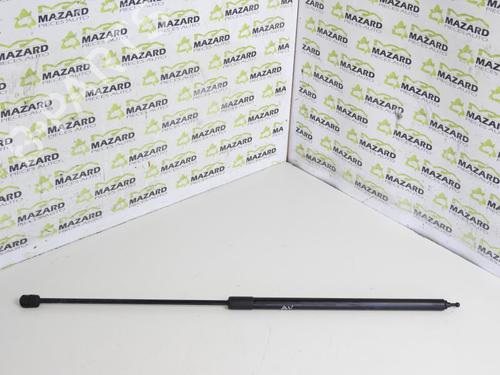 Used Hood lift support RENAULT MEGANE III Coupe (DZ0/1_) 2.0 TCe (DZ1N) (250 hp) 20057591